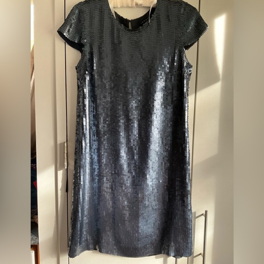 Theory 100% Silk Maryanka Matte Sequin Shift Mini Dress Women Size 2 MSRP $925